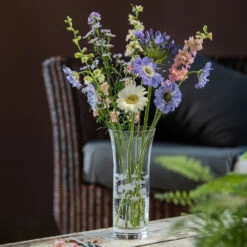 Bloom Trumpet Marguerite Vase -DONEW Sales Store bloom mood 075trump