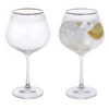 Gatsby Copa Gin & Tonic, Set Of 2 -DONEW Sales Store microsoftteams image 10