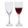 Rachael Large Red Wine Glass, Set Of 2 -DONEW Sales Store rachel large wine