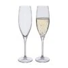 Wine Master Flute Champagne Glass, Set Of 2 -DONEW Sales Store wm flute